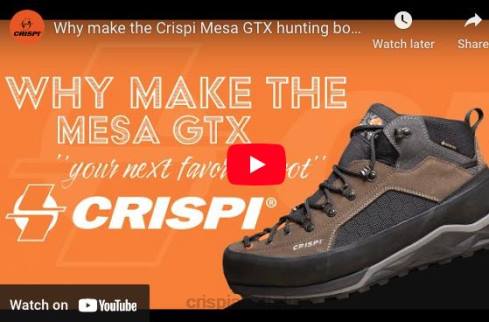Boots AU Crispi Mesa GTX Brown F6F262